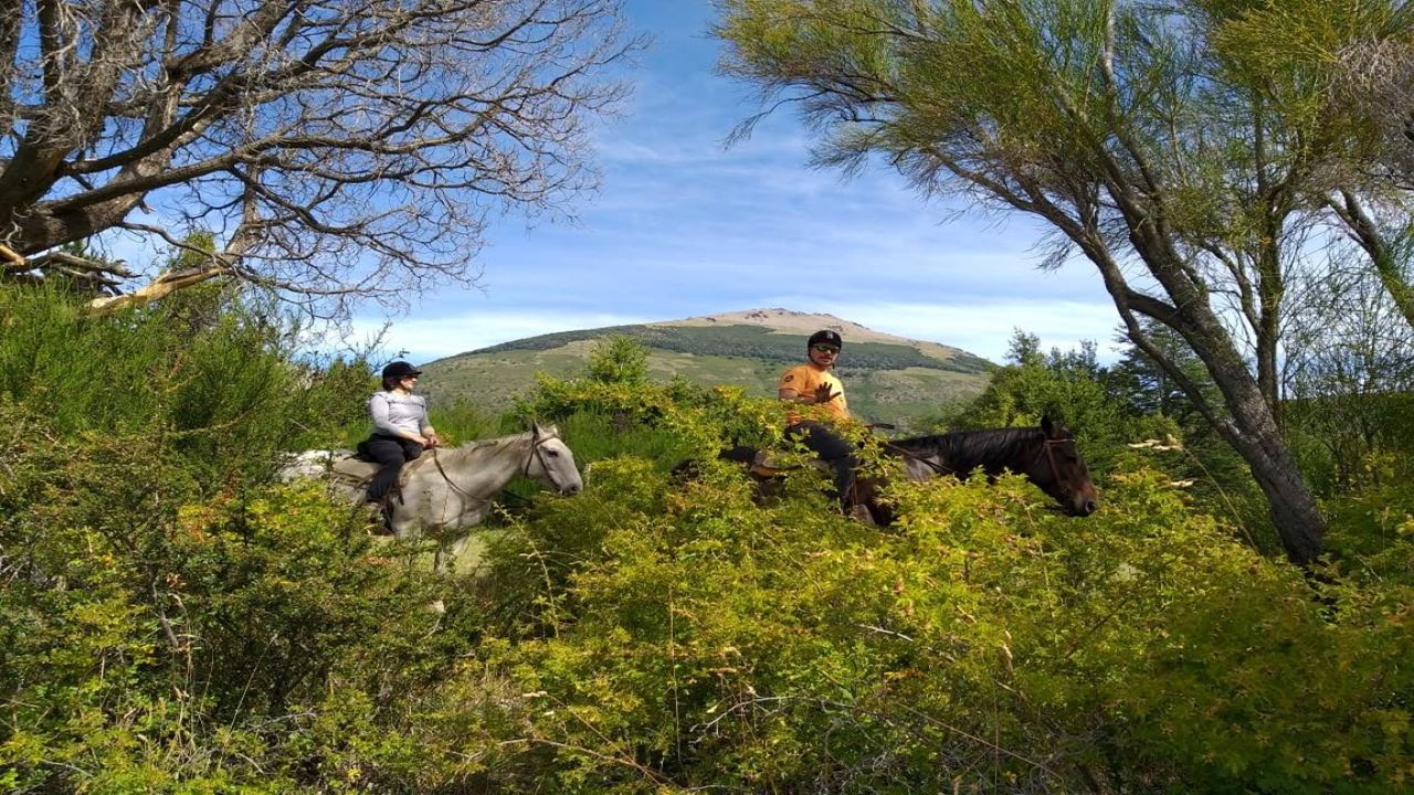 Balade À Cheval À L`estancia Peuma Hue foto 8