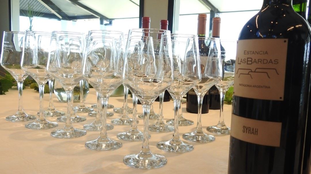Visite Et Dégustation De Vin À L`estancia Las Bardas foto 1