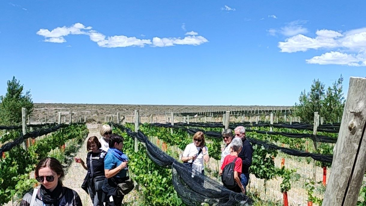 Visite Et Dégustation De Vin À L`estancia Las Bardas foto 2