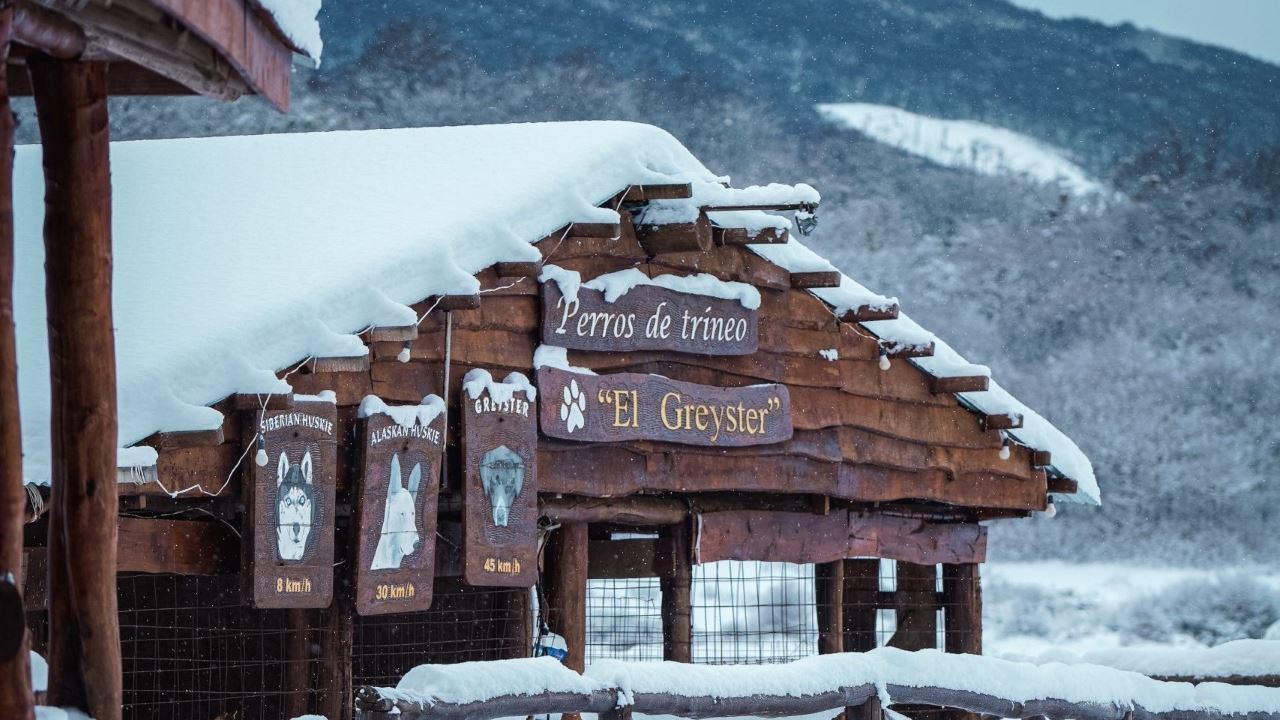 Aventure Hivernale D`une Journée Complète Avec Randonnée Et Utv foto 9