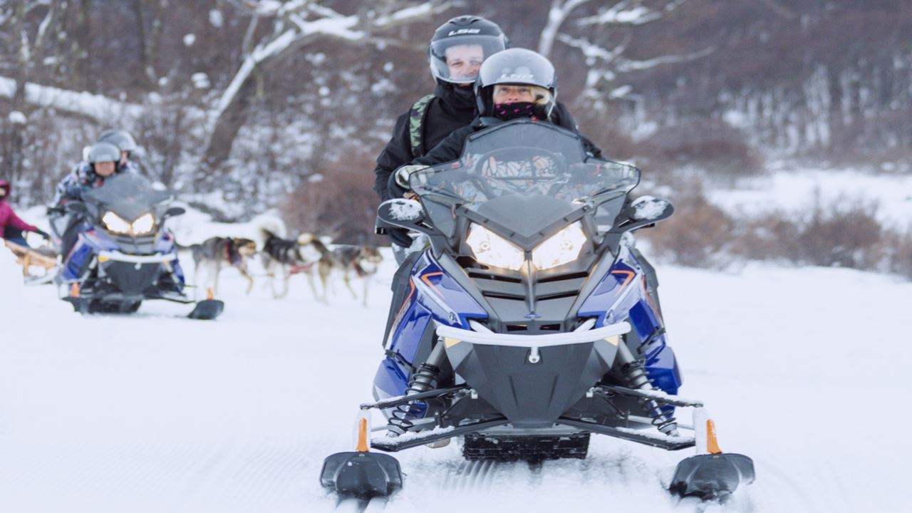 Wintererlebnis Mit Huskys, Schneeschuhen Und Schneemobilen foto 3