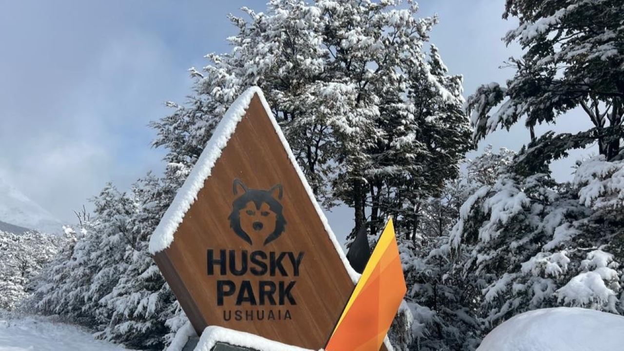 Wintererlebnis Mit Huskys, Schneeschuhen Und Schneemobilen foto 4