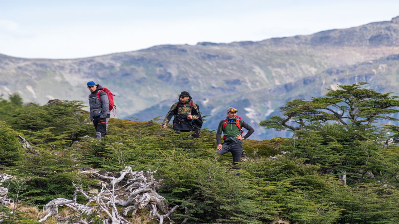 Trekking Zum Cerro Verde Und Zur Laguna Raquel foto 3