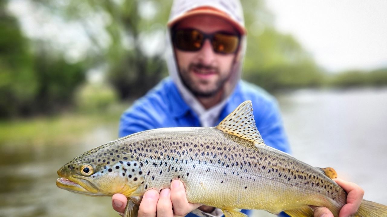 Pesca Con Mosca En El Rio Limay foto 2