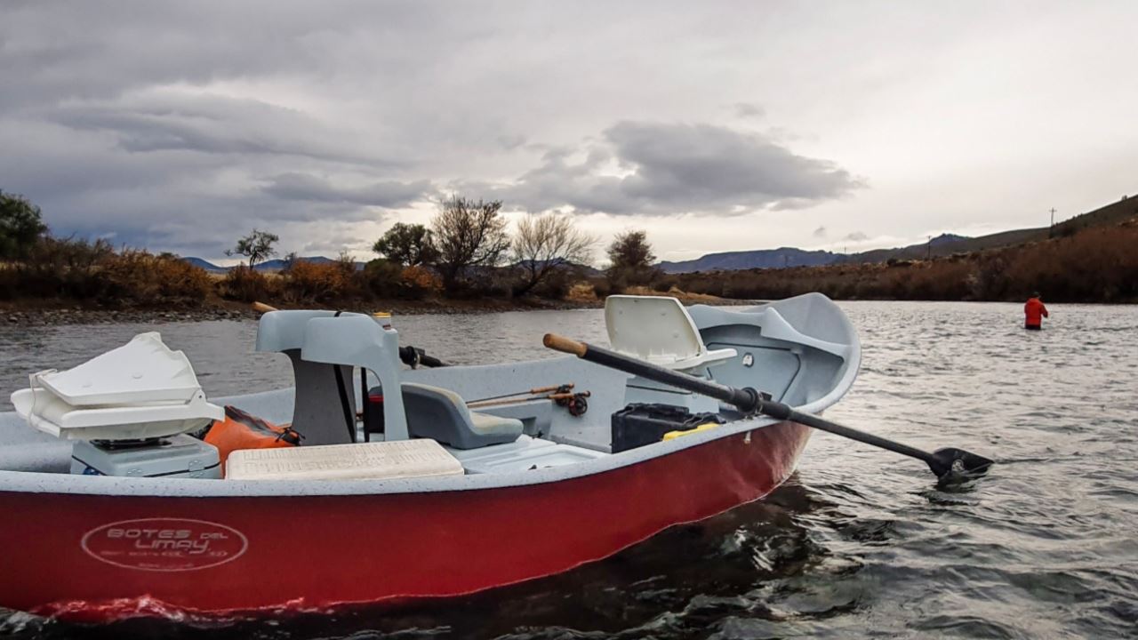 Pesca Con Mosca En El Rio Limay foto 4