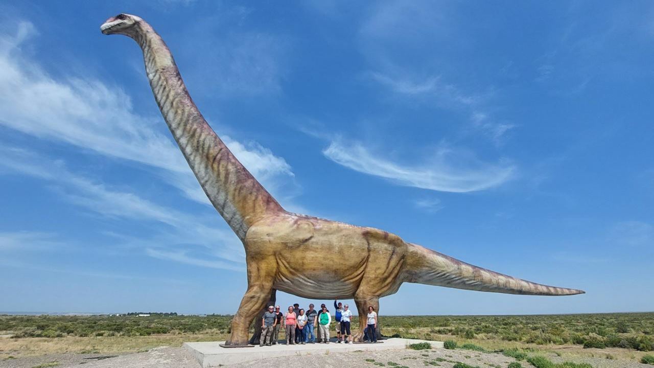 Angebot: Punta Tombo Und Flughafentransfers foto 5