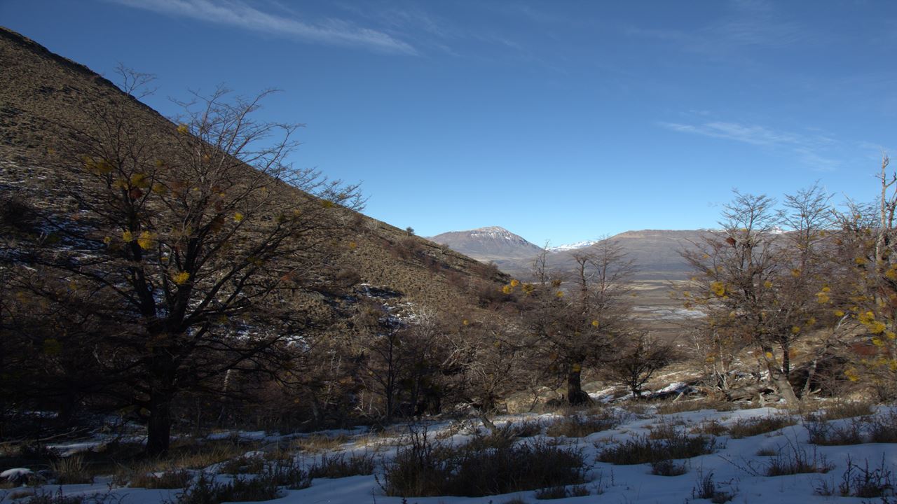 Trekking Zum Gipfel Des Cerro Frias foto 5