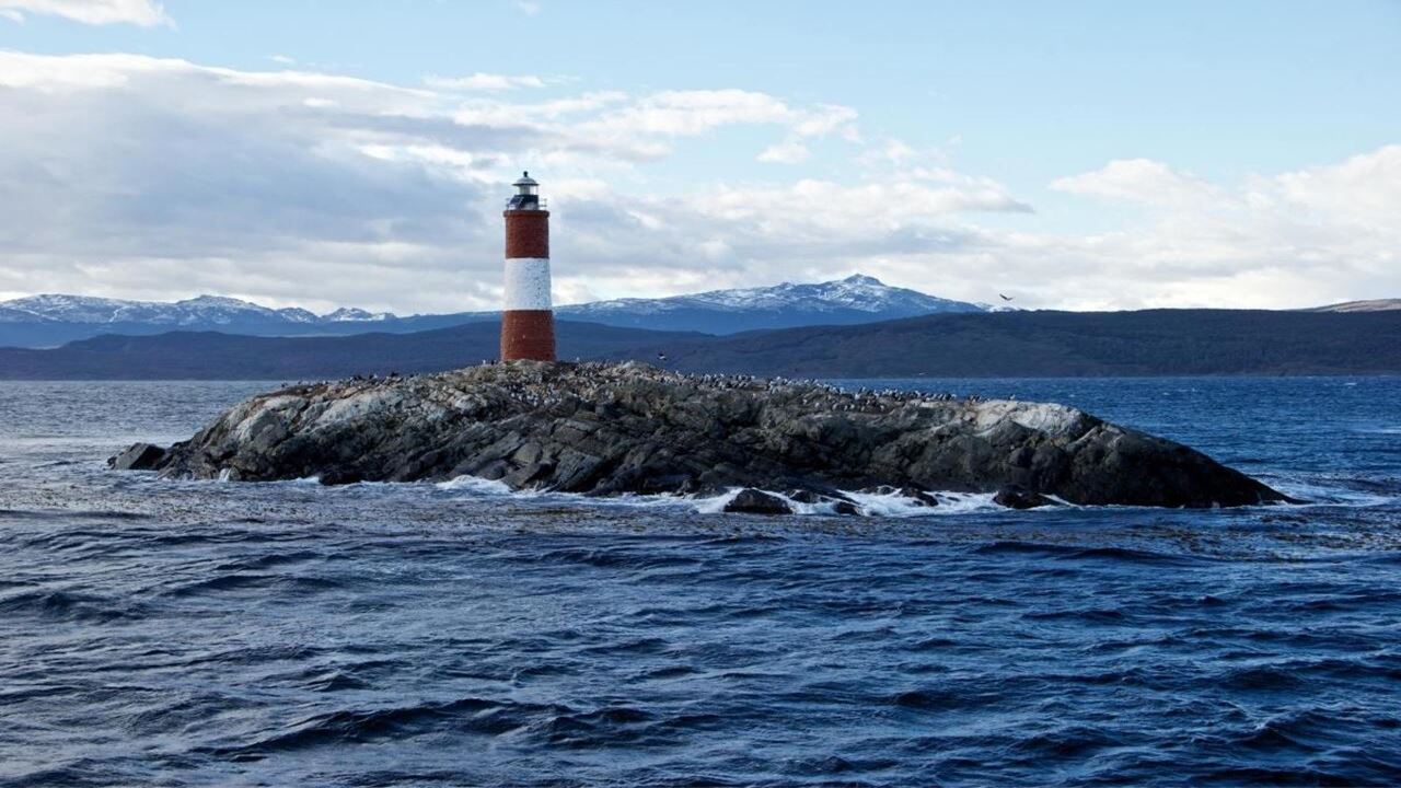 Angebot: Flughafentransfers, Nationalpark Und Segeln Zur Insel Der Wölfe Und Vögel foto 11