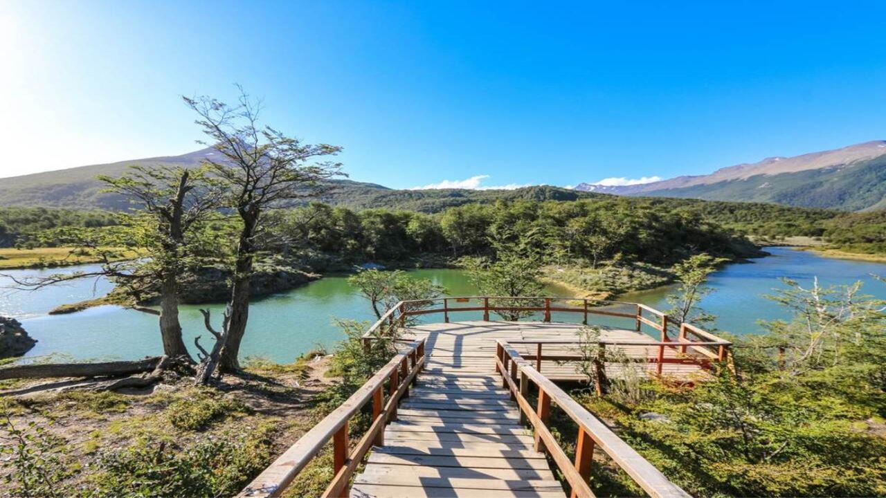 Angebot: Flughafentransfers, Nationalpark Und Segeln Zur Insel Der Wölfe Und Vögel foto 8