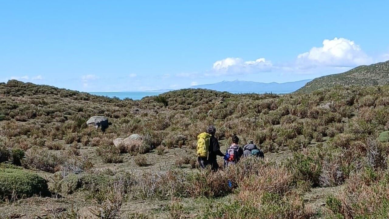 Tour À Chalten Et Navigation Sur Le Lac Viedma foto 2