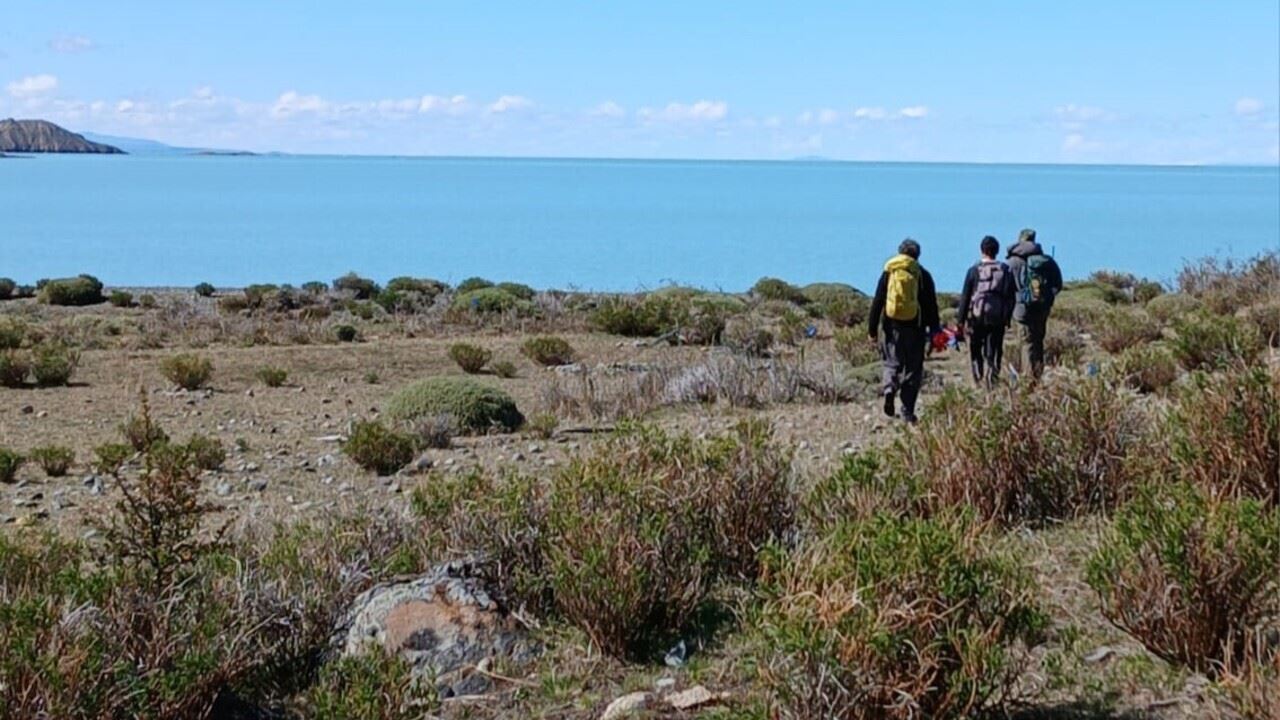 Tour À Chalten Et Navigation Sur Le Lac Viedma foto 9