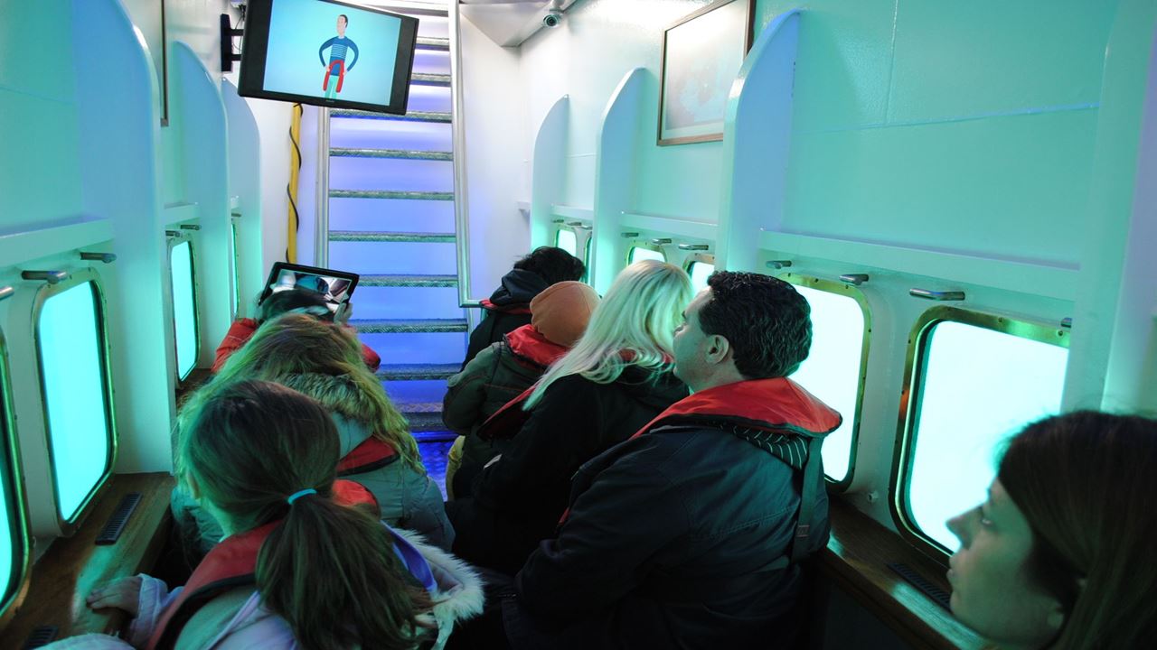 Observation Sous-marine Des Baleines foto 8