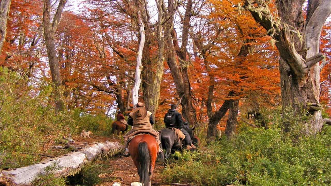 Ride Ride À Travers La Communauté Mapuche foto 3