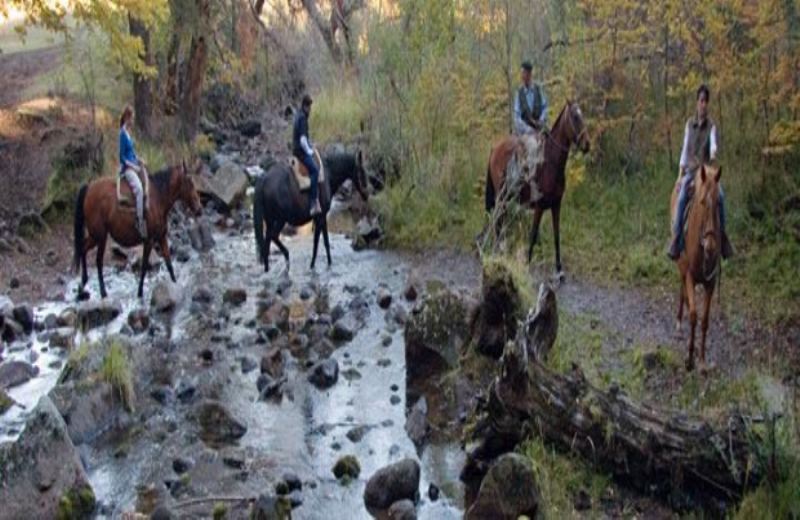 Ride Ride À Travers La Communauté Mapuche foto 1