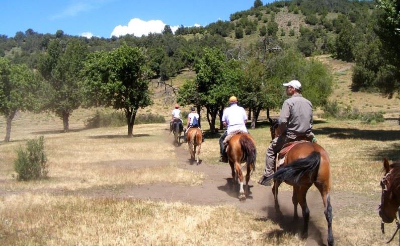 Ride Ride À Travers La Communauté Mapuche foto 5