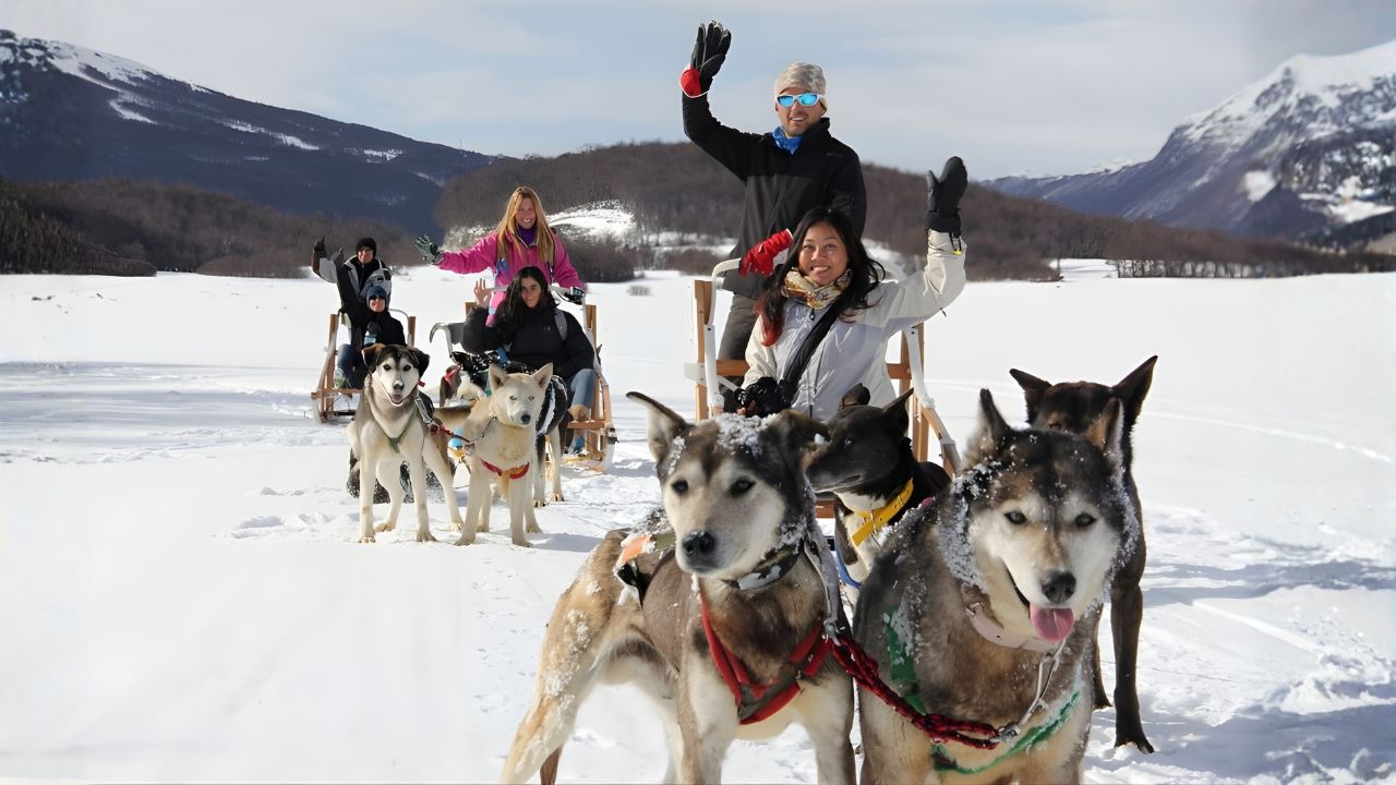 Experiência Husky foto 10