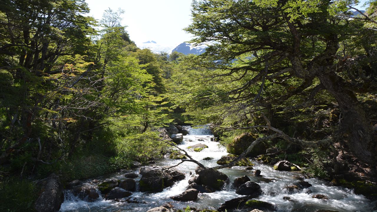 Montanhas E Geleiras Do Monte Tronador foto 4