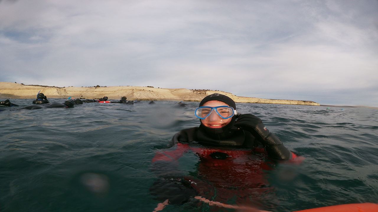 Snorkeling Avec Les Loups Phoques foto 5