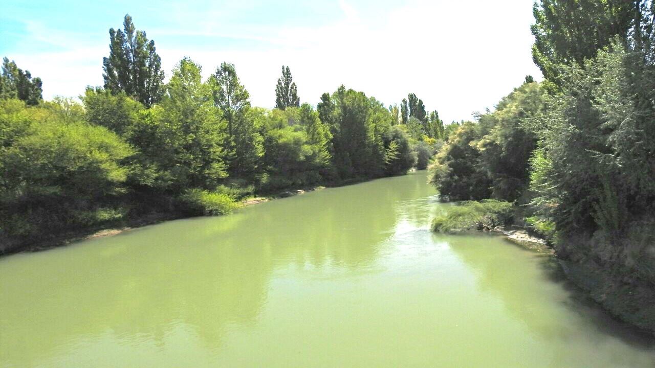 Vallée Inférieure De La Rivière Chubut foto 3