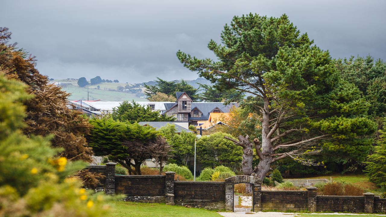 Descubre Ancud Y Las Pingüineras De Puñihuil foto 2