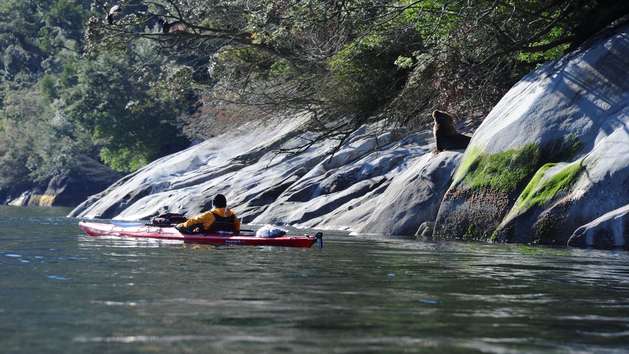 Découvrez Reloncavi, Le Kayak Dans Le Premier Fjord Du Chili foto 11