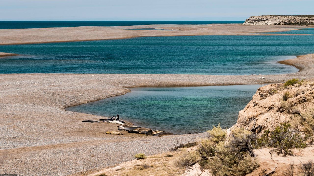 Pacote Clássico Puerto Madryn foto 3