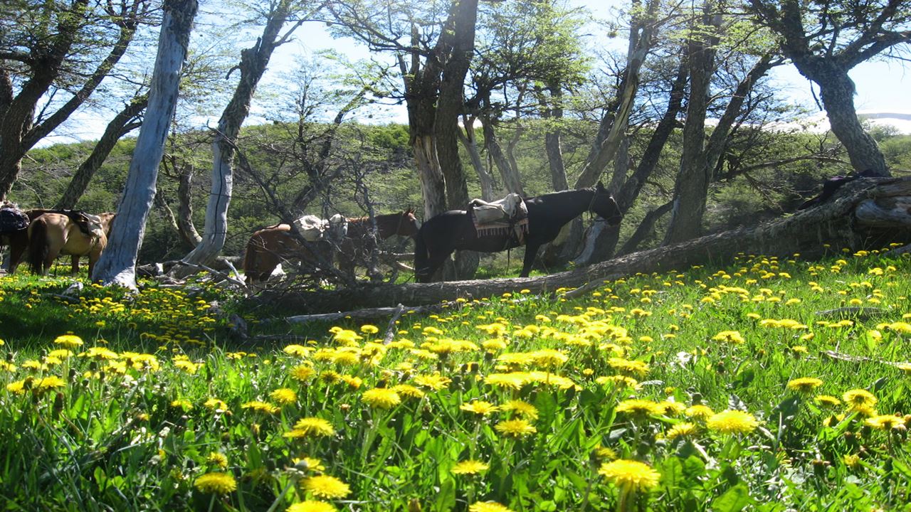 Horseback Riding Around Roca Lake