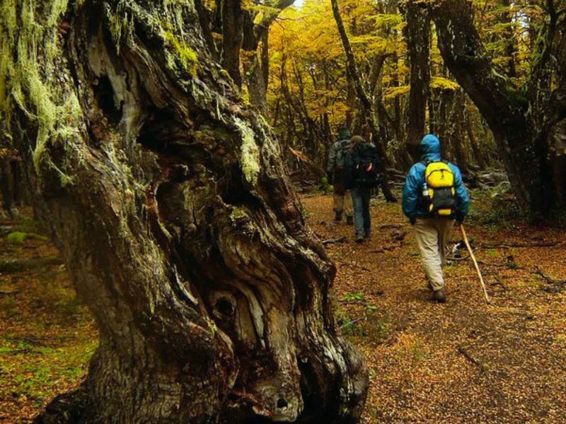 Trekking Tour To The Cajon Del Azul