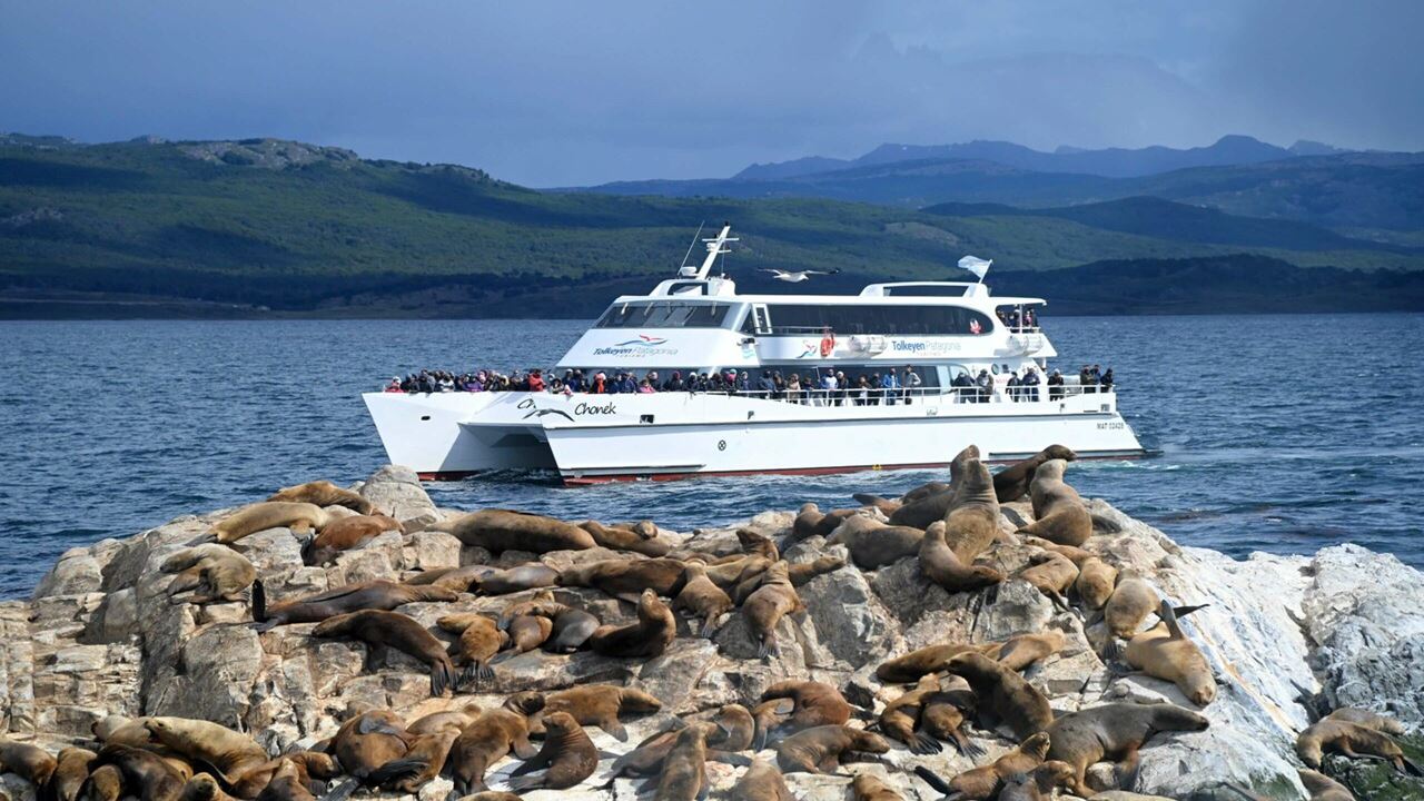 Offre : Transferts Aéroport, Parc National Et Navigation Vers L`île Des Loups Et Des Oiseaux
