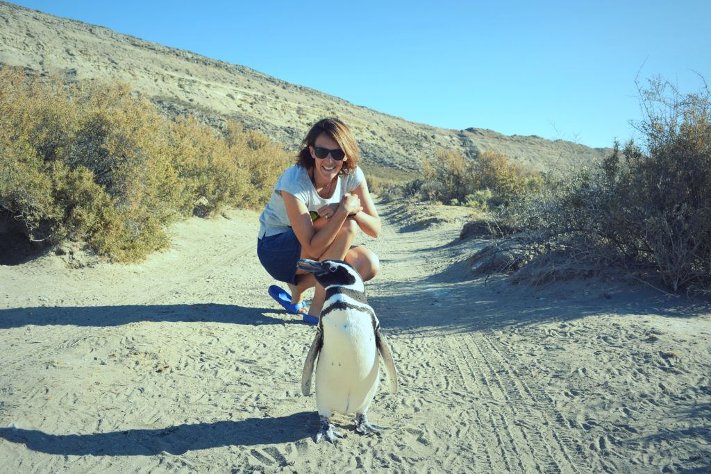 Feldtag Und Besuch Der Pinguinkolonie