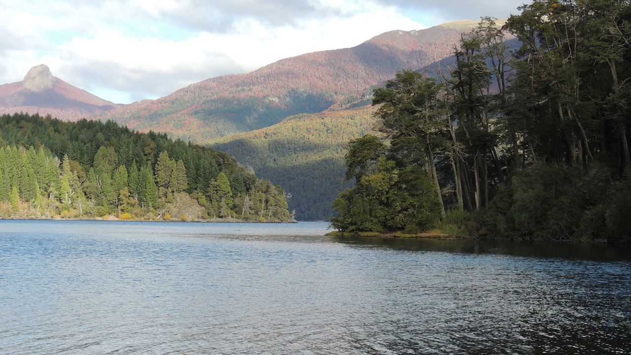 See Huechulafquen Und Volcan Lanin